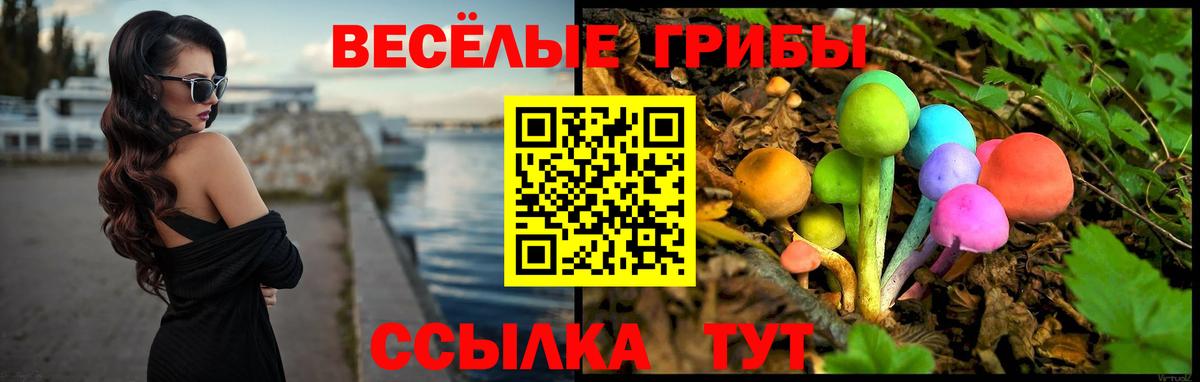 Галлюциногенные грибы Magic Shrooms Новочеркасск